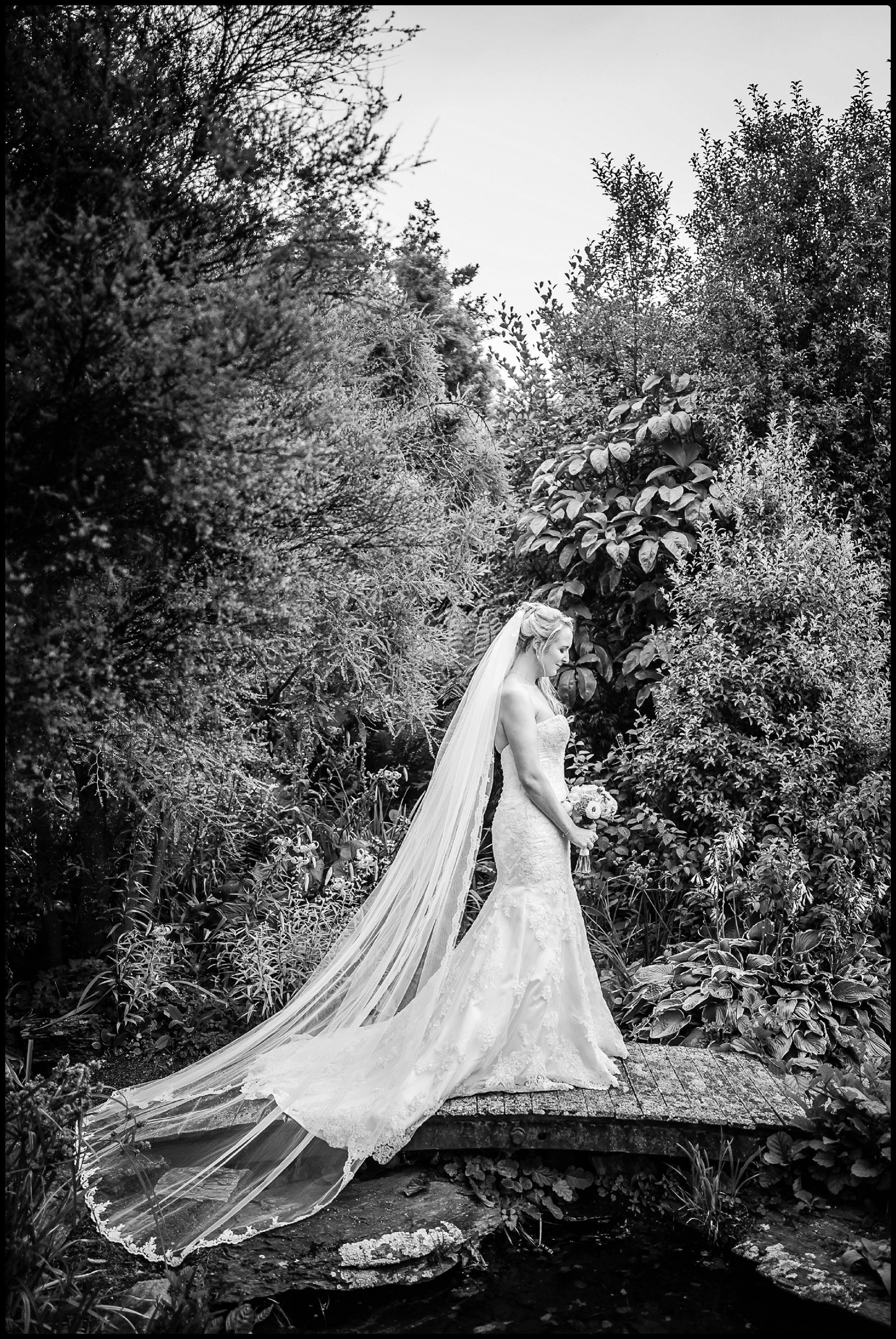 Sarah and Stafford wedding portrait